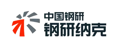 钢研纳克 logo